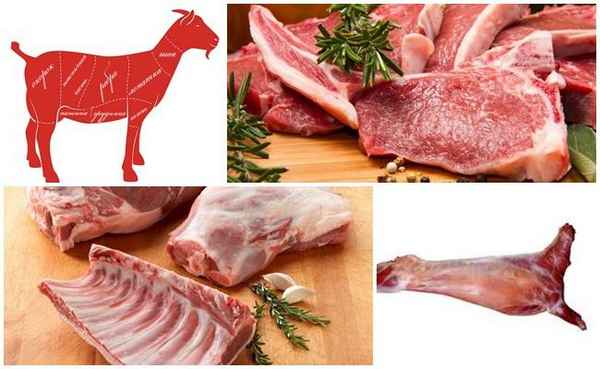 Мясо козлятины: польза и вред, калорийность, состав