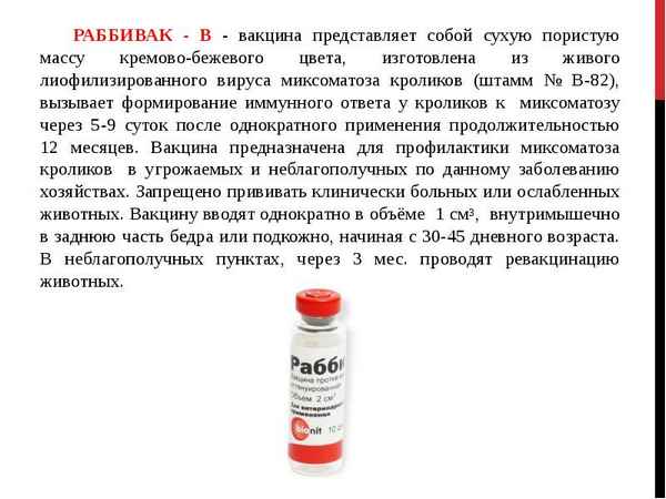 Как разводить и применять вакцину Раббивак V для кроликов