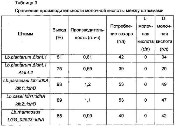 Молочная кислота для кроликов: инструкция по применению, дозировка и пропорции