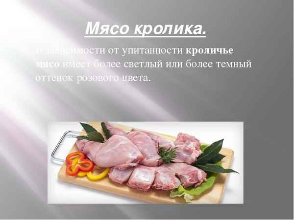 Мясо кролика: польза и вред для организма, состав, правила выбора