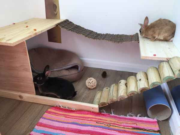 Как построить и обустроить домик для кролика своими руками в домашних условиях