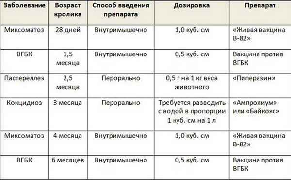 Прививки для кроликов