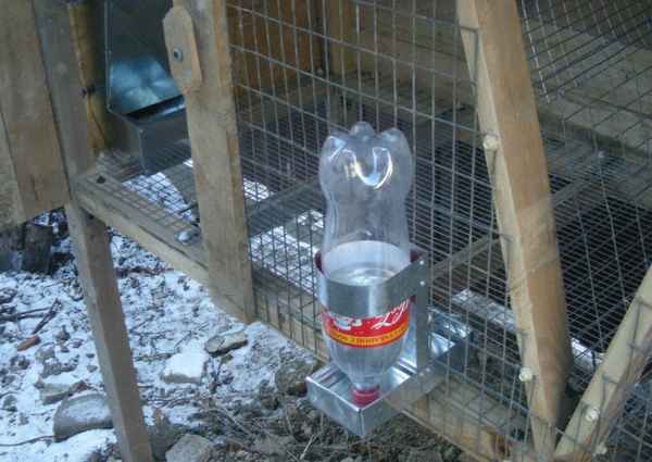 Как сделать поилки для кроликов своими руками