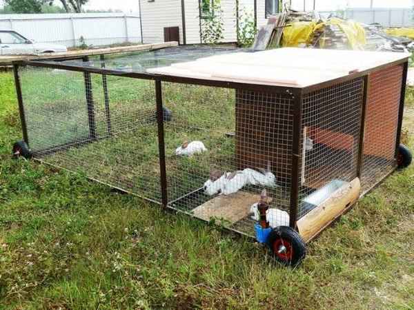 Как сделать вольер для кроликов своими руками