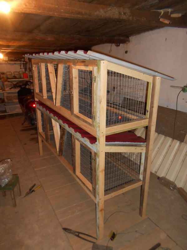 Как сделать клетку для содержания кроликов своими руками в домашних условиях