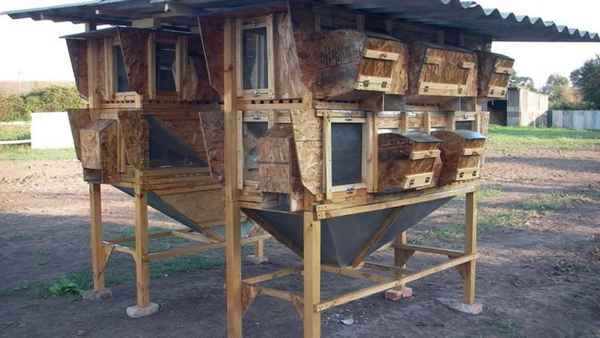 Как сделать своими руками мини-ферму для кроликов