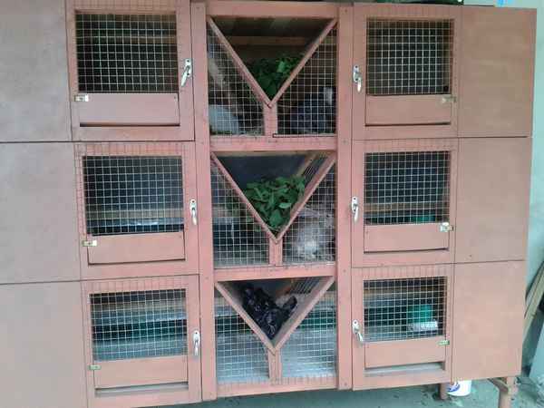 Как сделать клетки Золотухина для кроликов своими руками