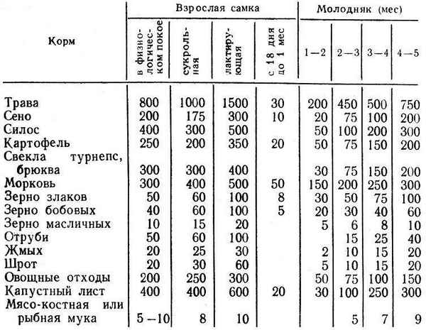 Кормление кроликов зерном