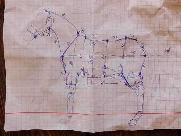 Как сделать попону для лошади своими руками?