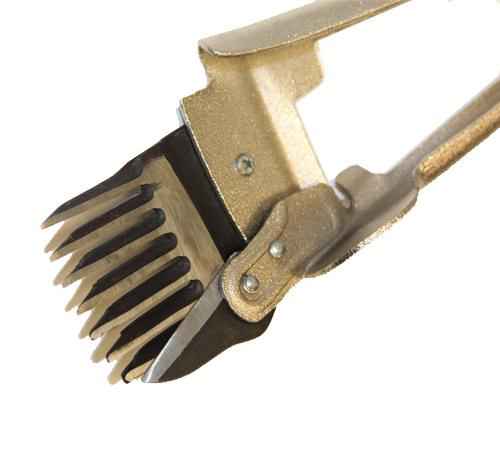 Особенности ручной стрижки овец: общие правила, как выбрать ножницы