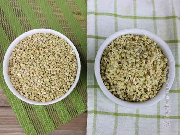 Особенности пророщенной зелёной гречки