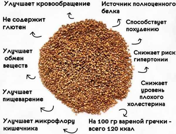 Польза и вред пропаренной гречки