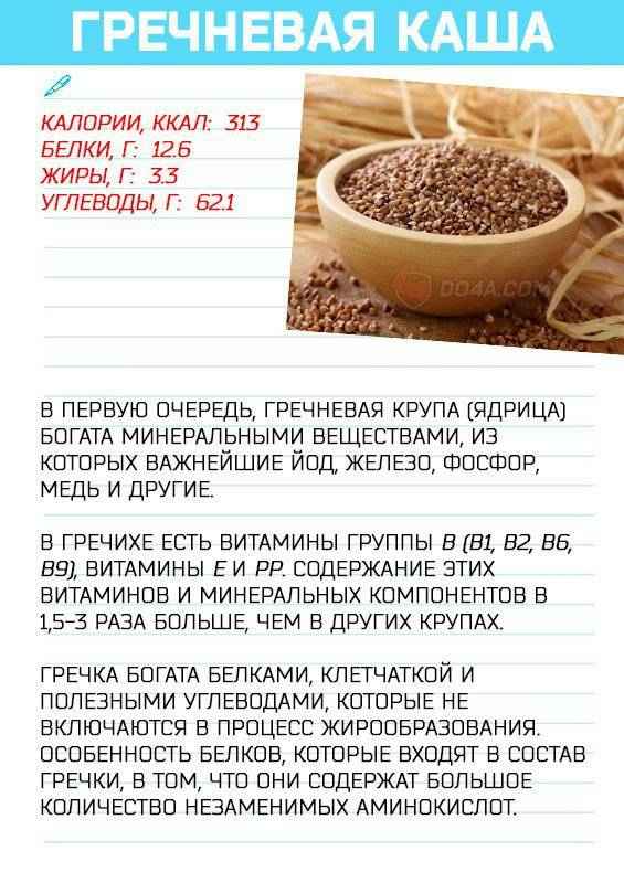 Особенности употрeбления гречки для набора массы