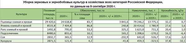 Уборка озимой и яровой пшеницы в разных регионах России