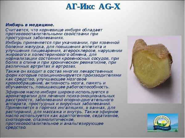 Имбирный корень как желчегонное средство: можно ли и как применять