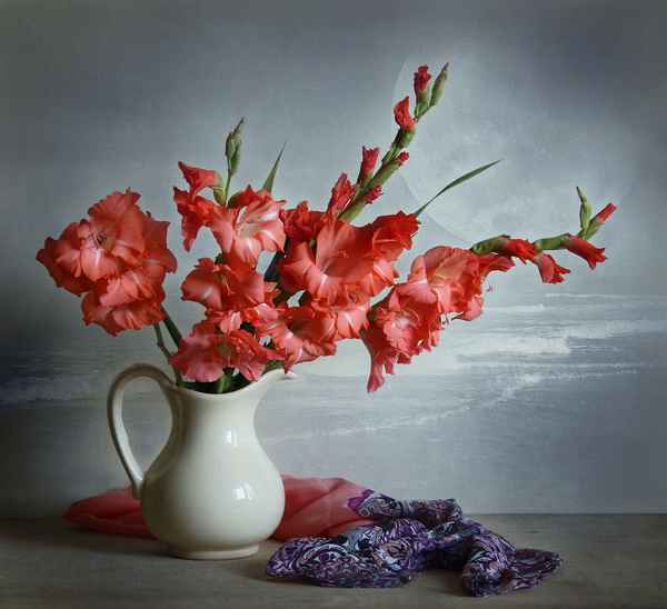 Как сохранить гладиолусы в вазе с водой