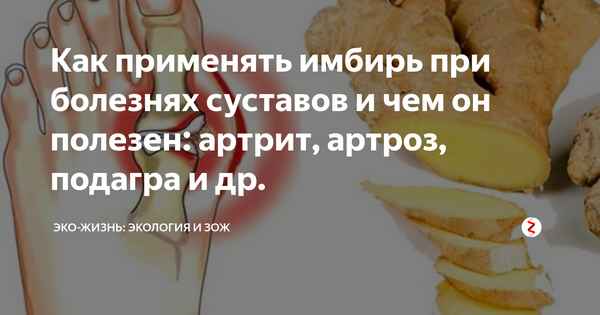 Можно ли есть имбирь при подагре
