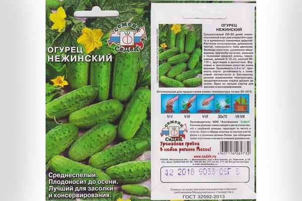 Огурец Нежинский: описание сорта, как выращивать и ухаживать