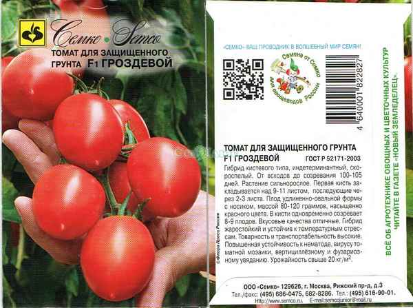 Томат Гроздевой F1: описание и хаpaктеристика сорта