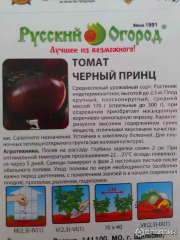 Помидоры Чёрный принц - описание, агротехника выращивания