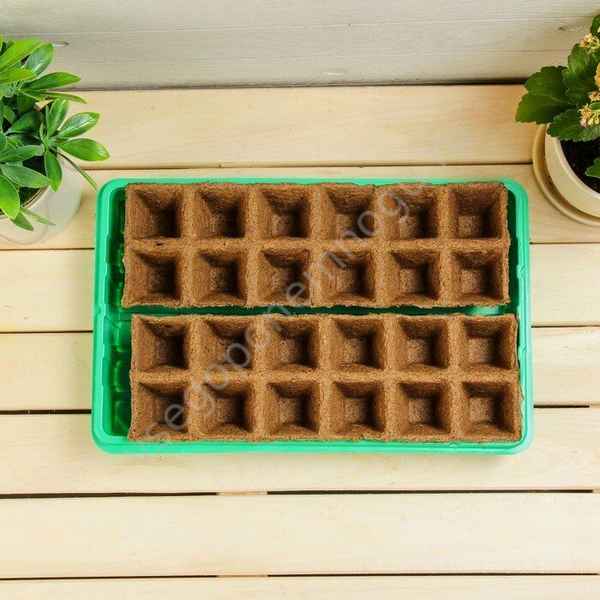 Готовим тару для рассады: какие бывают варианты