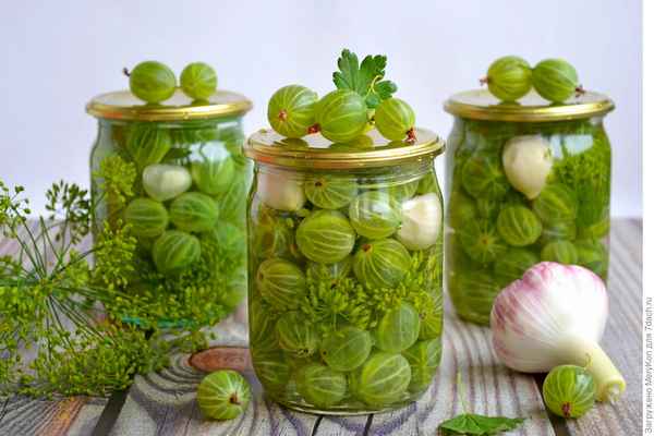 Что можно сделать из крыжовника на зиму: варианты домашних заготовок