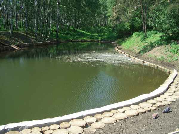 Как своими руками сделать пруд в овраге