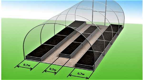 Как правильно разместить грядки в теплице?