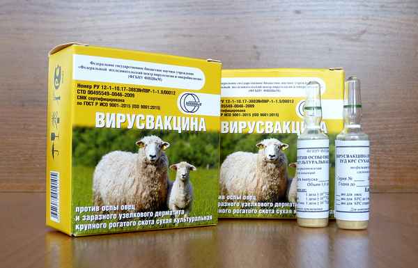 Применение вакцины против оспы овец и коз, инструкция