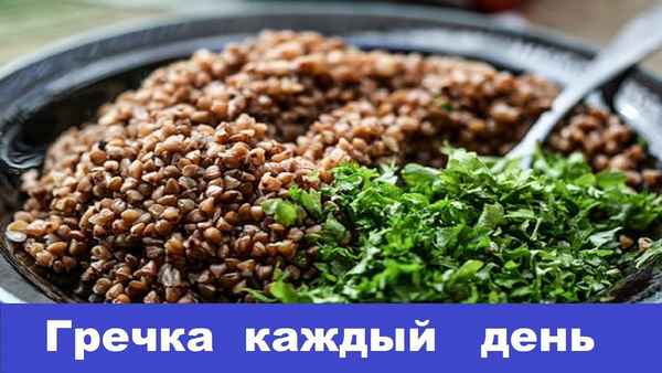 Употрeбление гречки каждый день