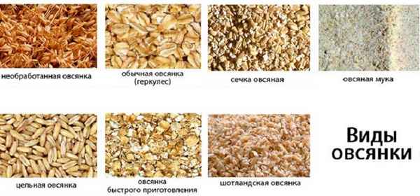 Чем отличаются хлопья геркулеса от овсянки