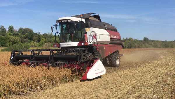 Технология уборки урожая проса