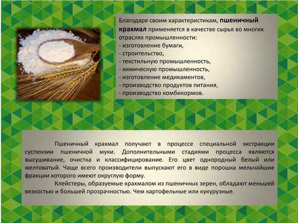 Описание пшеничного крахмала, его производство и применение