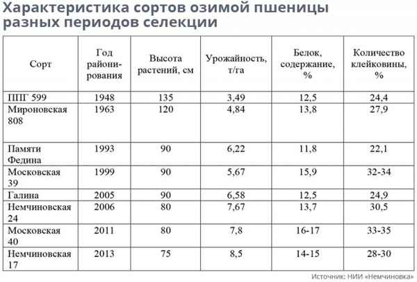 Описание и хаpaктеристики озимой пшеницы сорта Граф