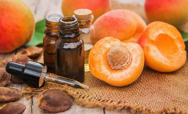 Использование абрикосового масла в косметологии