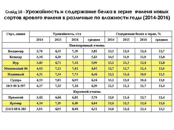 Средняя урожайность ярового и озимого ячменя в России