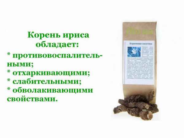 Полезные и лечебные свойства корня ириса