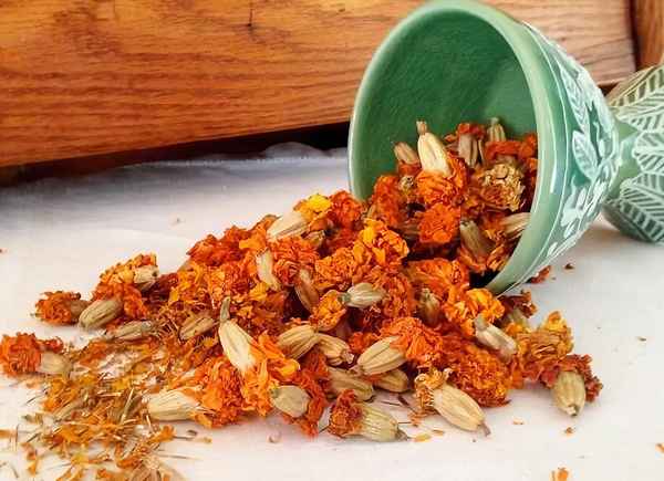 Как сушить бархатцы для имеретинского шафрана