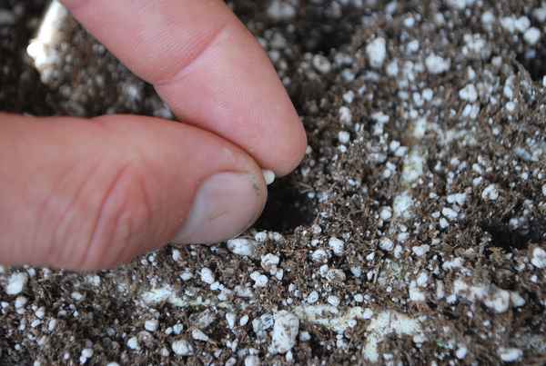 Что такое цеолит и зачем его добавлять в почву