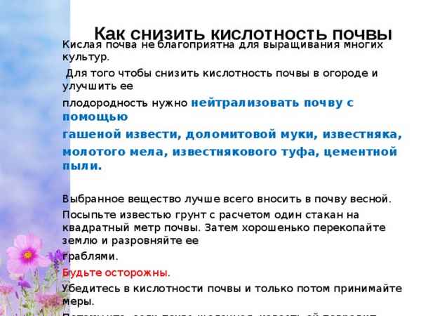 Как понизить кислотность почвы в огороде