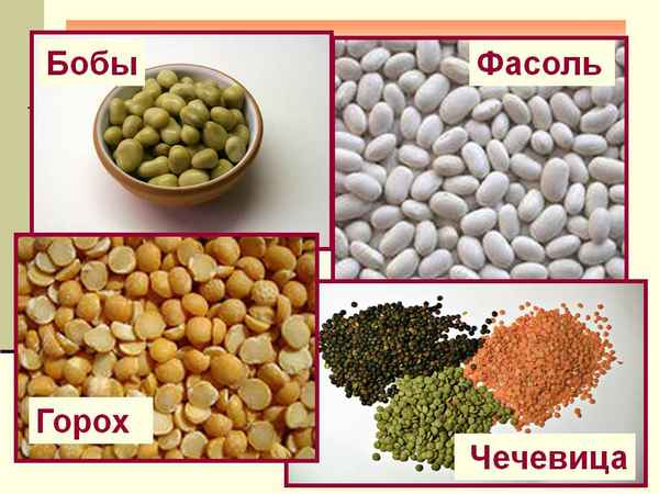 Различие между горохом и чечевицей: что полезнее