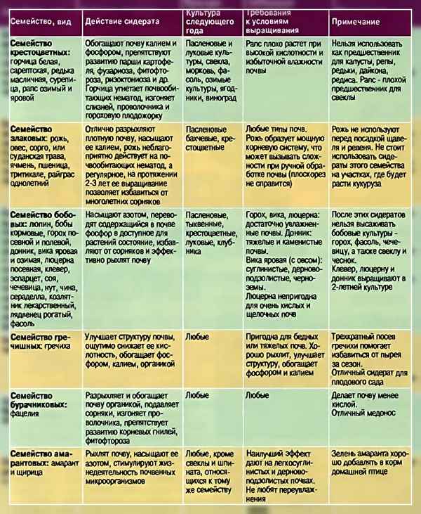 Лучшие сидераты для капусты осенью: максимально эффективное использование