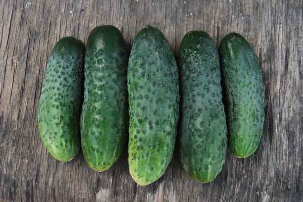 8 супер урожайных сортов огурцов для засолки