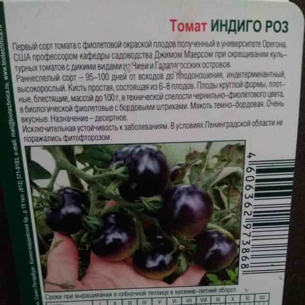 Томат Индиго Роуз: описание и хаpaктеристика сорта, уход и выращивание