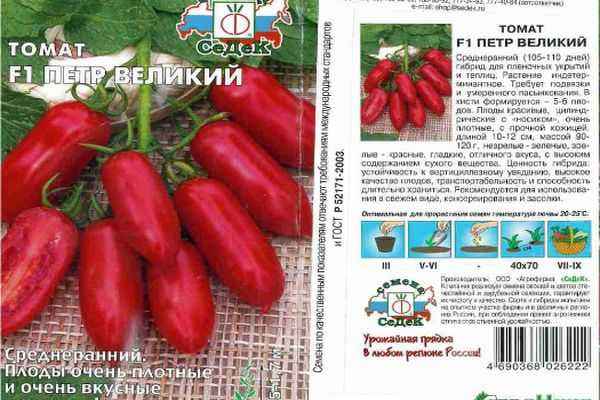 Томат Пётр Великий F1: описание и хаpaктеристика сорта, уход и выращивание