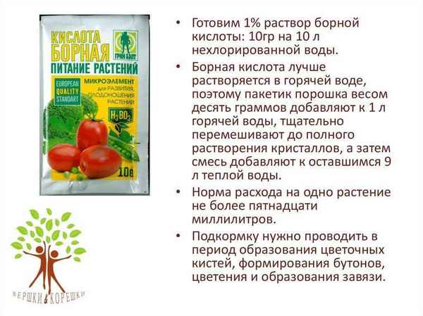 Как обработать помидоры борной кислотой: дозировка, инструкция по приготовлению раствора, полезные советы