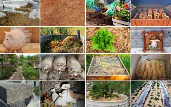 12 способов применения древесных опилок на даче