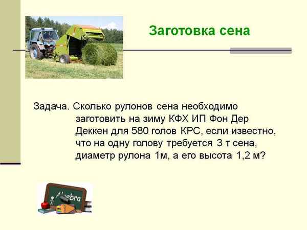 Сколько сена надо корове на зиму