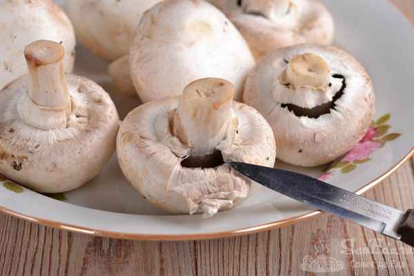 Шампиньоны: особенности чистки, обработки и хранения