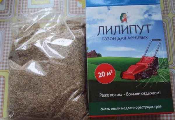 Описание и хаpaктеристики газонной травы Лилипут